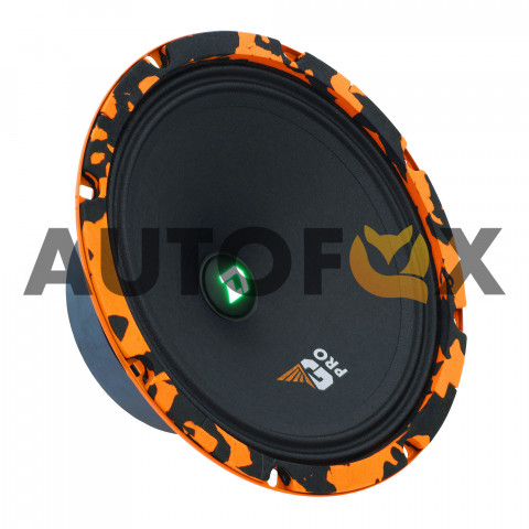 DL Audio Gryphon Pro 200 SE (20см RMS-100Вт/4Ом)